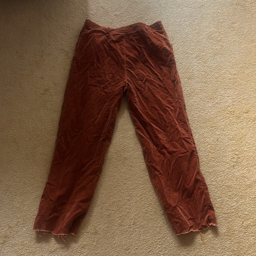 Rust Velvet Pants - Picture 2 of 2